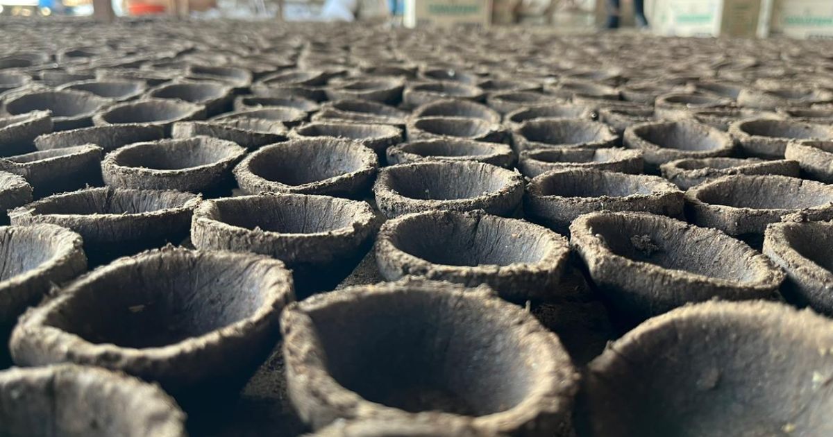 Around 1 lakh cow dung made diyas to be given to city people